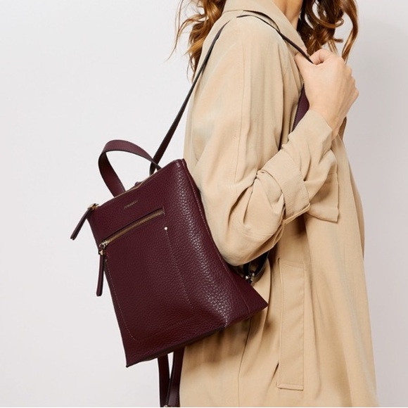 Fiorelli Finley pebble grain mini backpack - Picture 5 of 5